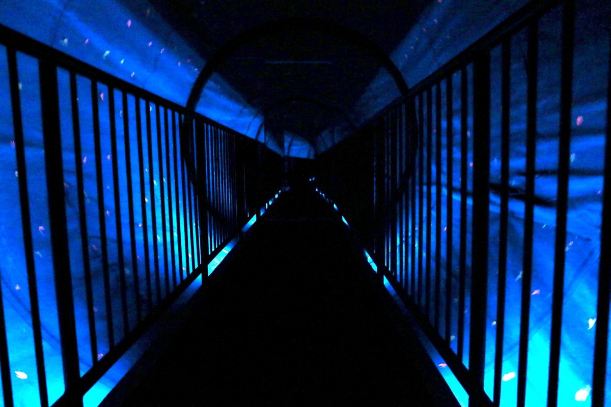 Vortex Tunnel How Does It Work Science Behind the Illusion - AAJoyland.com